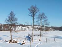 Frozen Lake