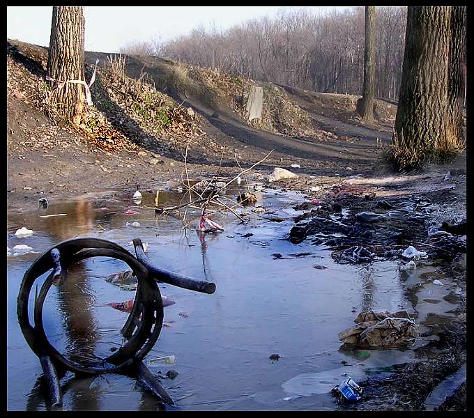 PROSZĘ SZANOWAĆ ZIELEŃ