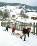 Pojana Mikuli zimą-(Bukowina  rumuńska)