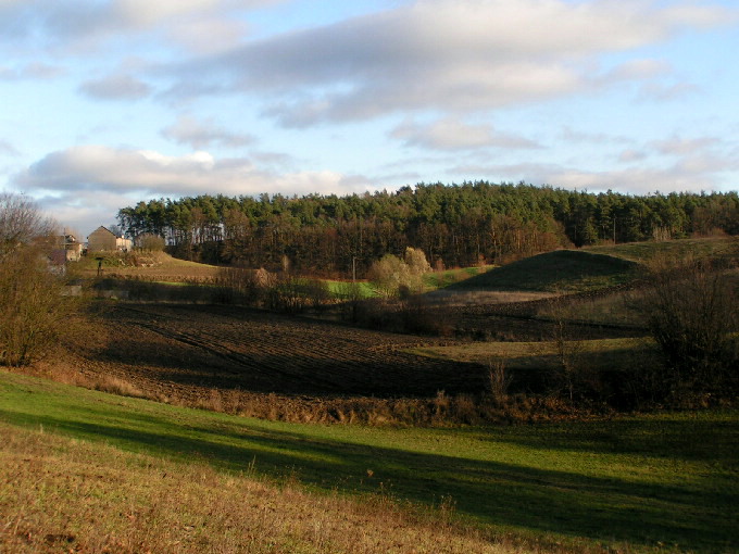 Piękne Fijałki