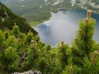 Tatry, Czarny Staw Gąsienicowy