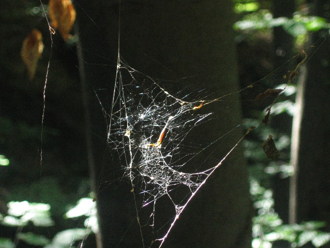 arachne tu była...