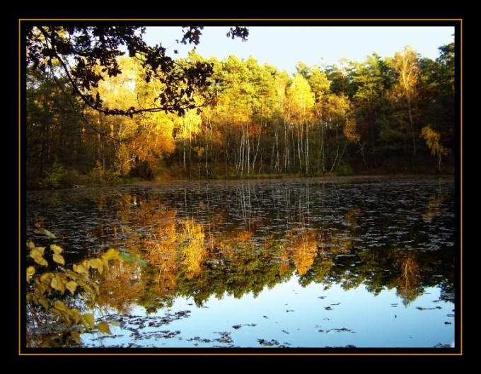 Leśne jezioro albo gdy natura przegląda się w swoim zwierciadle.