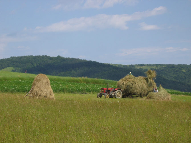 CHŁOPI