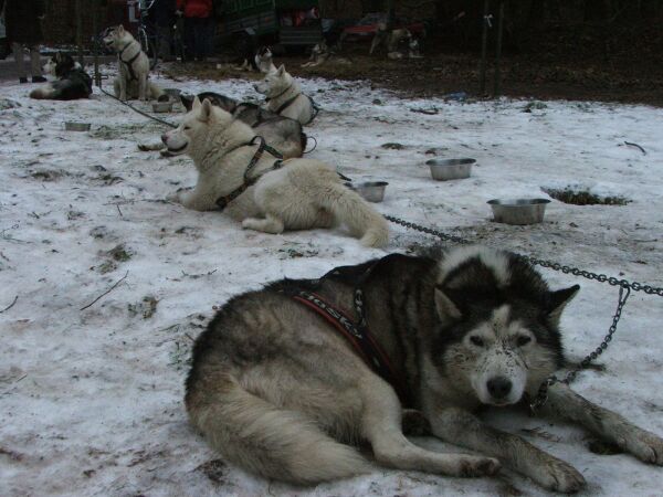 Sopot 2005