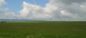 wiosenny widok na Tatry