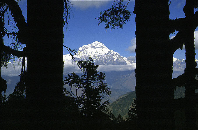 Dhaulagiri