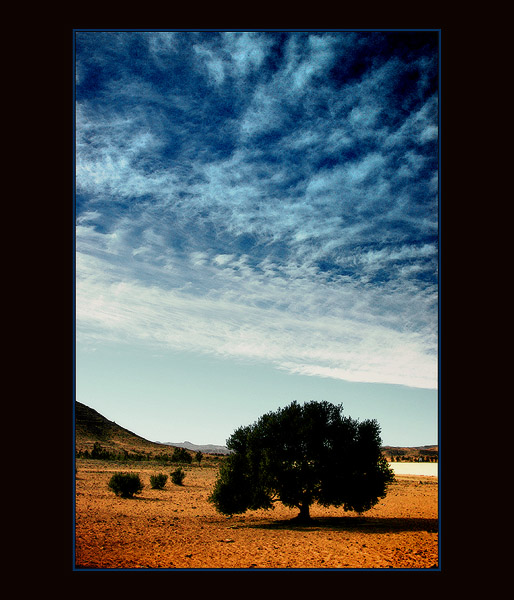 A Sahara coraz bliżej