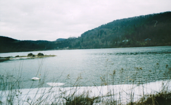 Jezioro w Bartkowej-Bieszczady