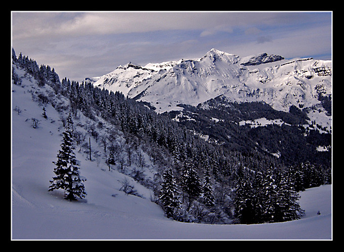 widok z Wengen na Schilthorn