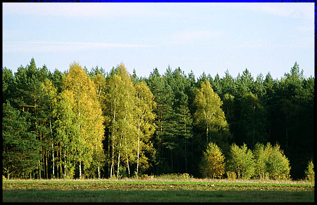 słonecznie - pod Legnicą (Pątnów)