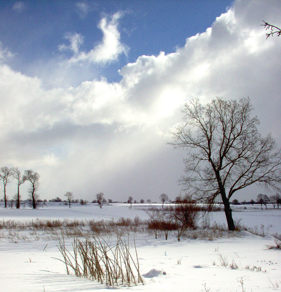 brrrrr... jak zimno