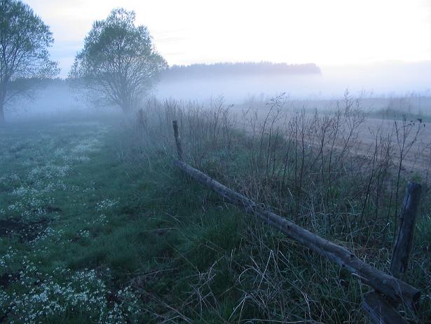 mgiełka