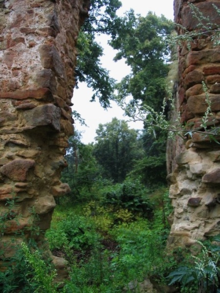 drzwi wyjściowe