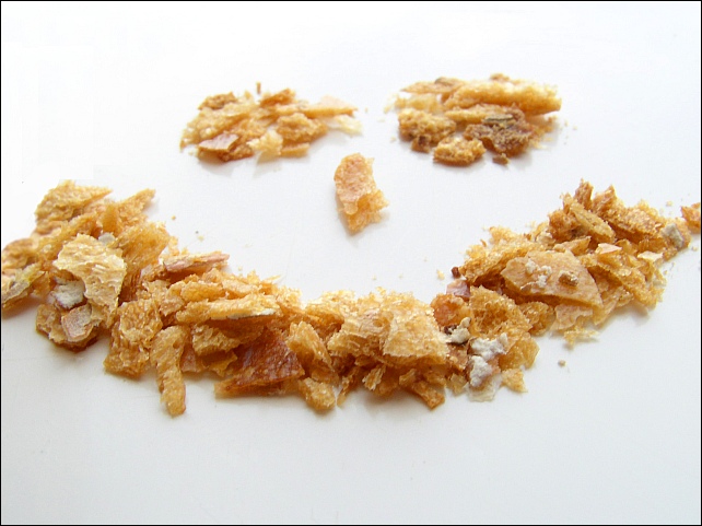 Pieces of bread smilin