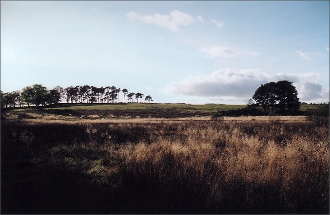 Mugdock Moor