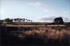 Mugdock Moor