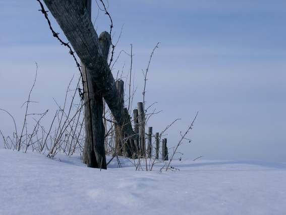 z cyklu "podlasie"