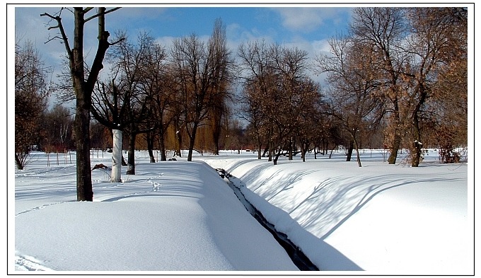 ...Park zimą...