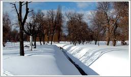 ...Park zimą...