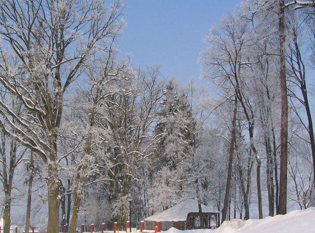 Gdzieś na Kaszubach..