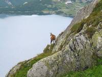 Tatry