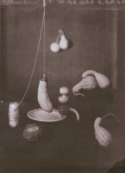 wlasciwosci medium - albumen print.