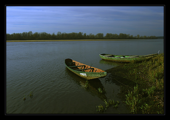 Łódki nieszawskich rybaków (vis a vis Nieszawy n/Wisłą)