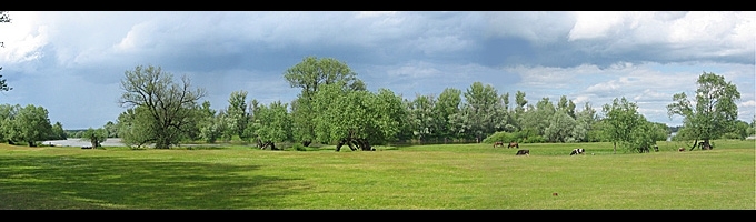 Nad Bugiem (panorama)