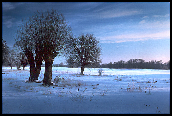 zima na Mazowszu