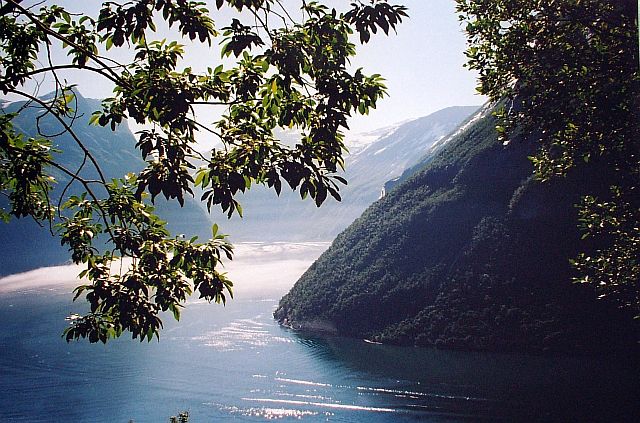 Fiord I