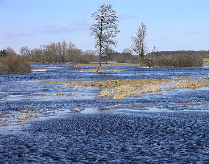 Przedwiośnie