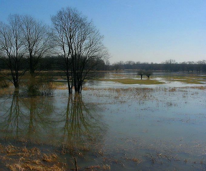 rzeka Odra