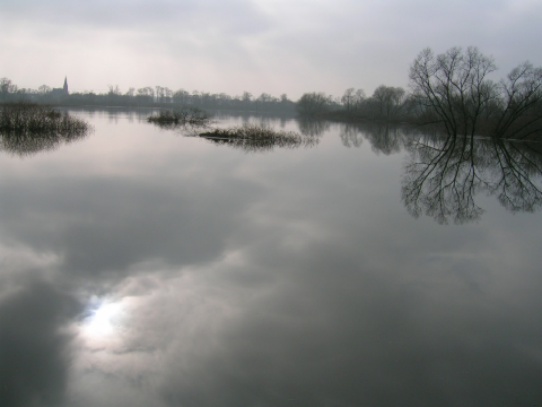 wystąpienie z brzegów