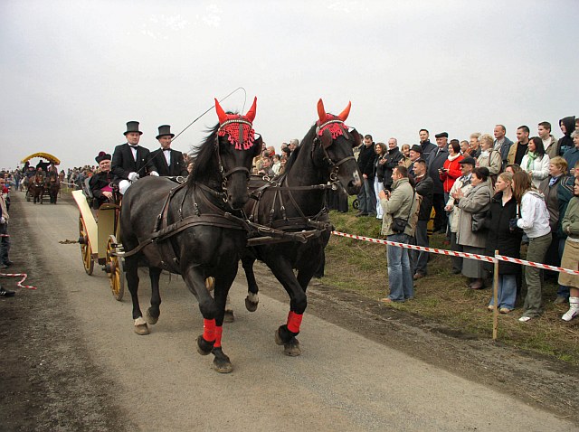 wielkanocna procesja konna