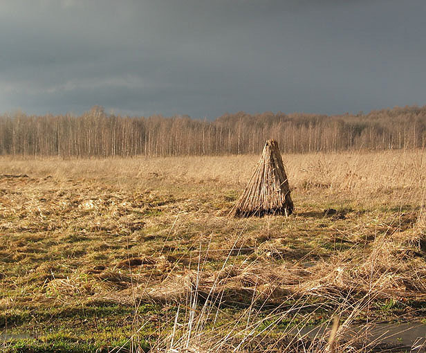 Przed burzą