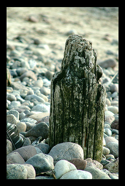 Bałtycka plaża