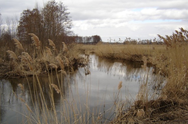 Rzeka Toczna