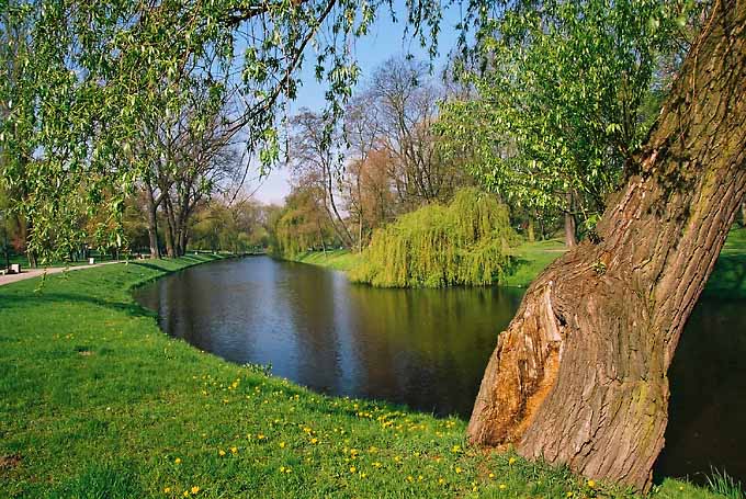 Wiosenny park II