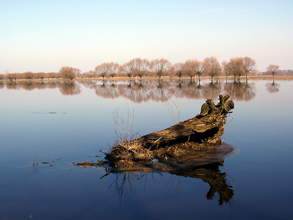 mazowiecka wiosna