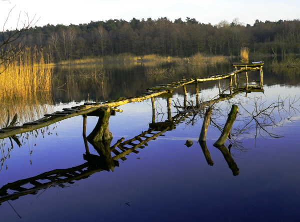 "przystań"