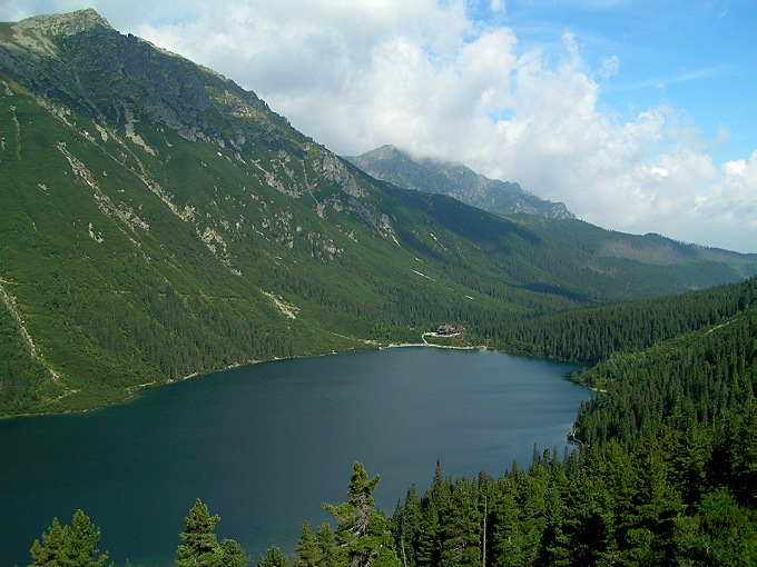 moko z nad czarnego