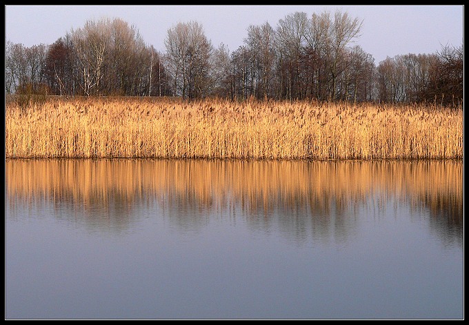 nad wodą