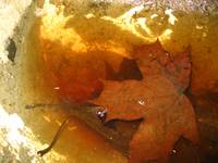 A co ty tutaj robisz? Wiosna przecież przyszła!