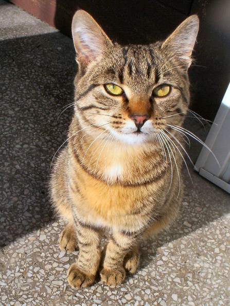 FILIP