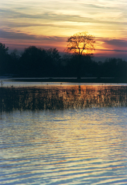 zachód nad Narwią II