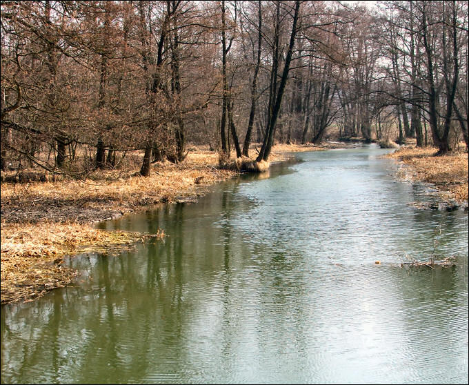 Ciepły, wiosenny wiaterek