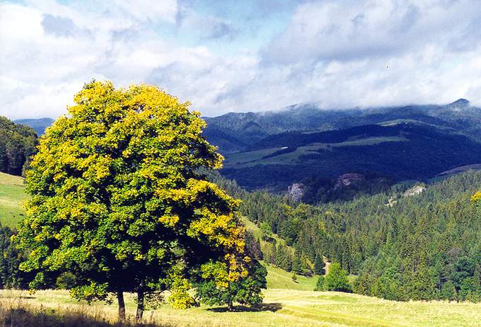 Małe Pieniny...