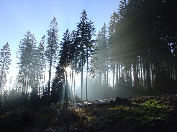 Poranna droga na Baranią Górę