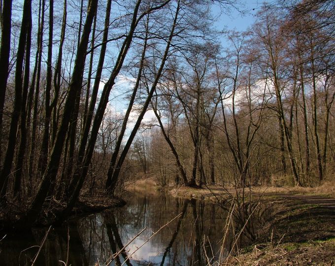 Miejsce, gdzie Oślica ujrzała Anioła